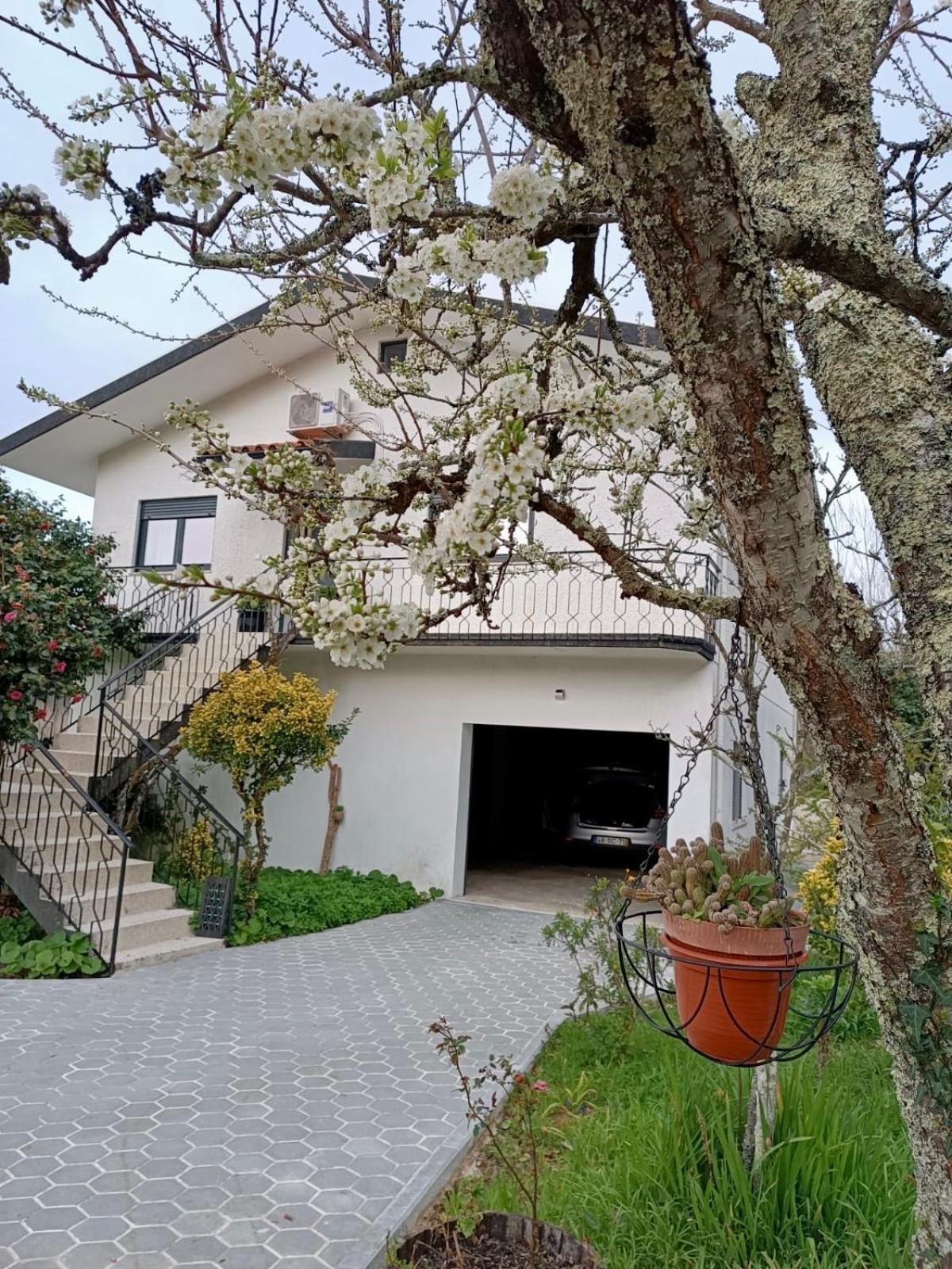 Casa De Fraguas Villa Arouca Eksteriør bilde