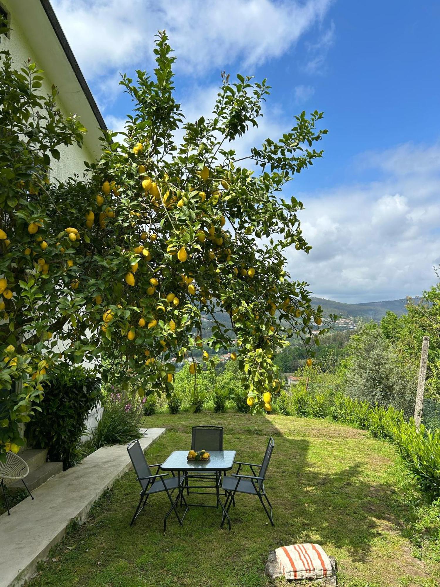 Casa De Fraguas Villa Arouca Eksteriør bilde